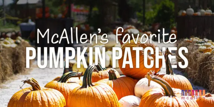 McAllen’s Favorite Pumpkin Patches