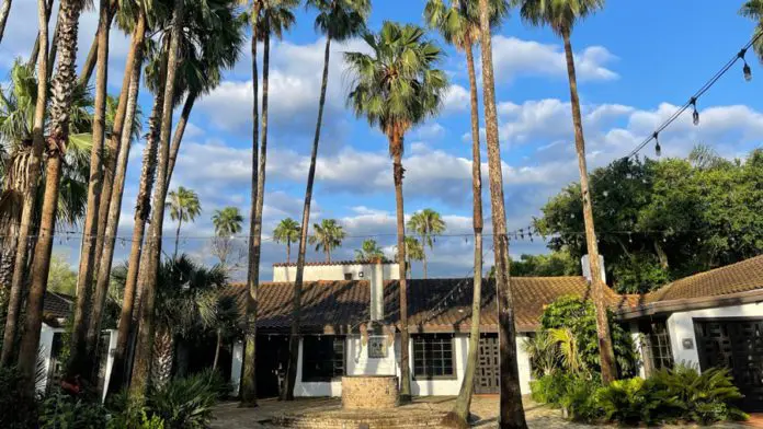 A brown and white building in McAllen shrouded by palm trees and nature during the daylight.